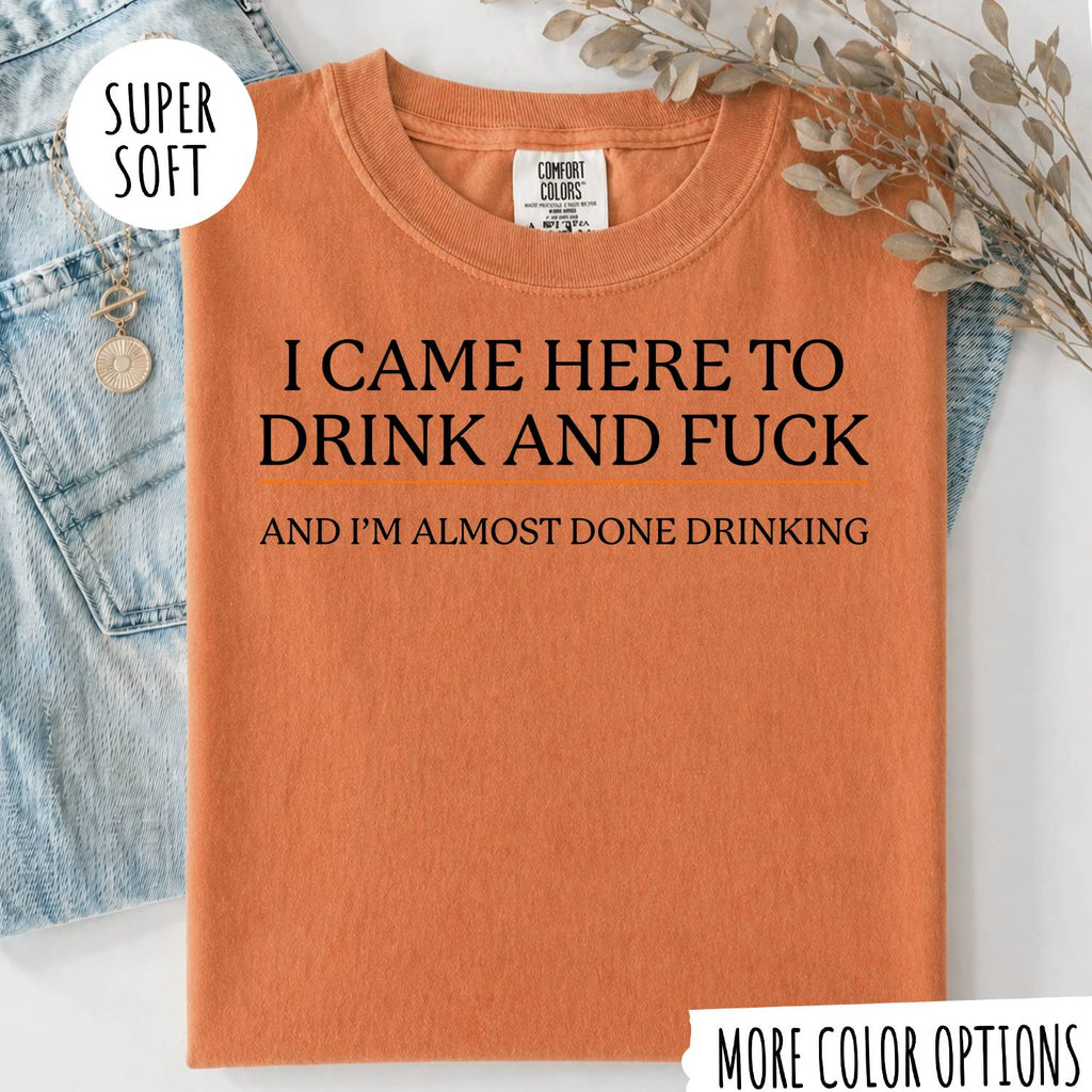 I CAME HERE TO DRINK AND FUCK T-shirt